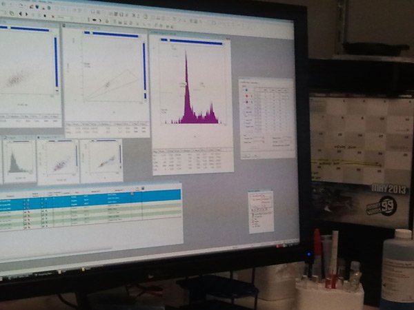 Determining DNA Content of Cells Using Flow Cytometry