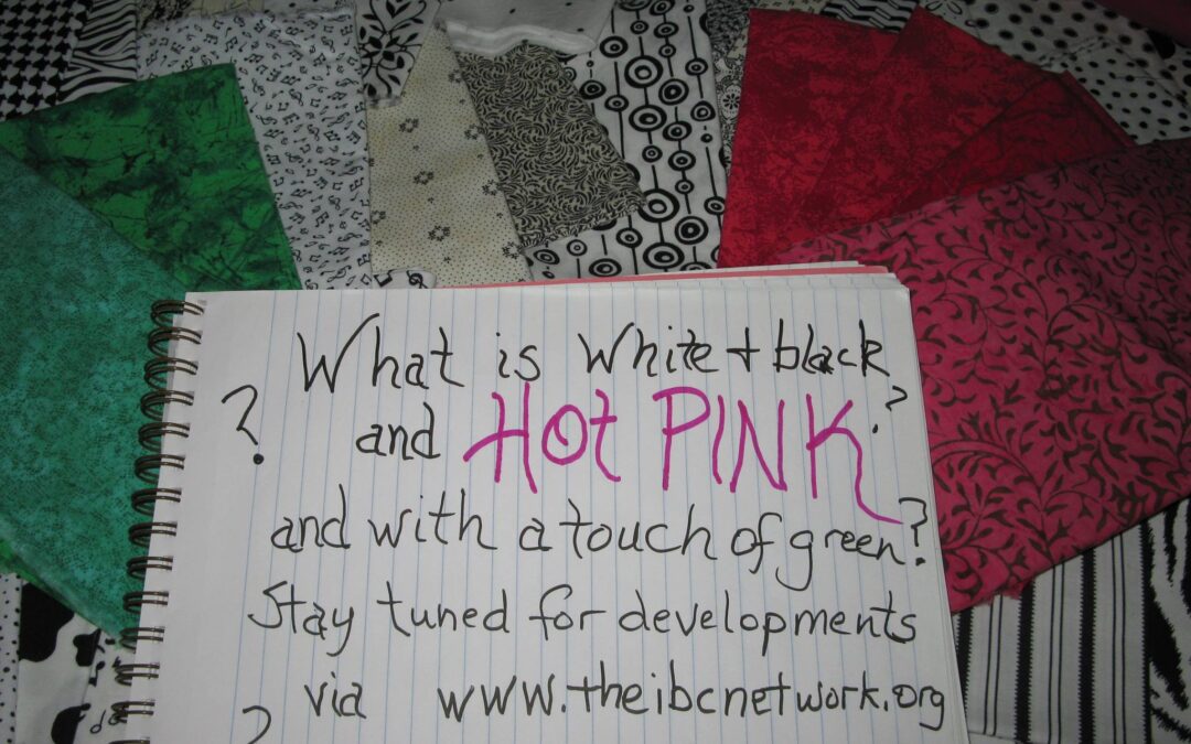 50 Quilts in 50 States for Inflammatory Breast Cancer!