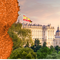 6th International Inflammatory Breast Cancer Symposium Will Be Held in Spain