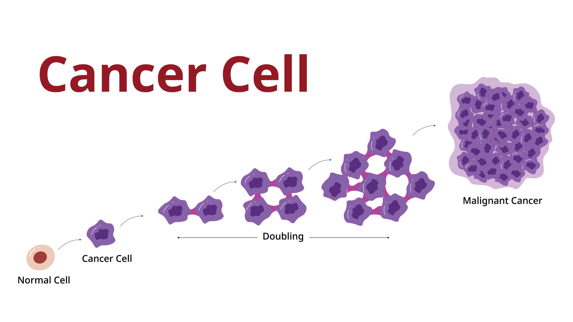 research on biology cancer