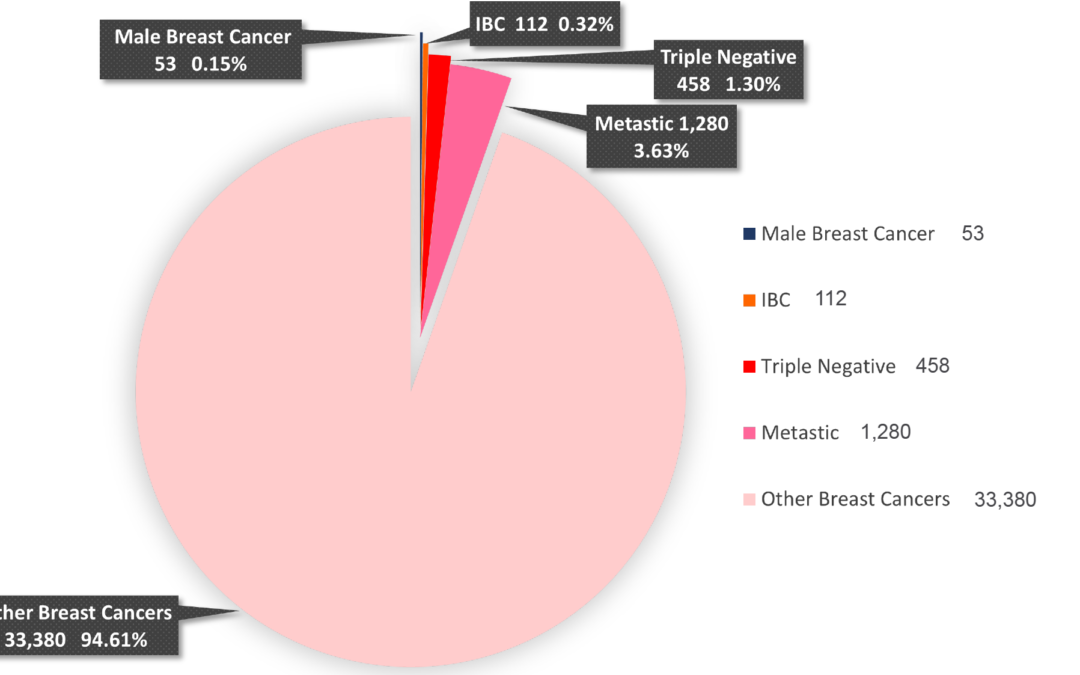 breast cancer grants