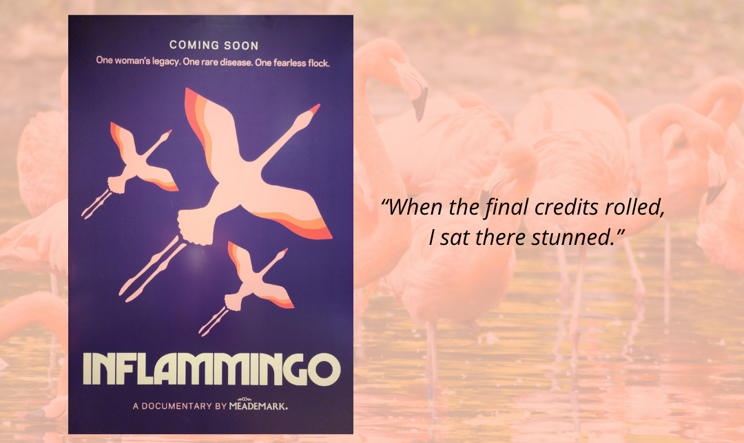 Reflections on Inflammingo: A Story That Stays With You