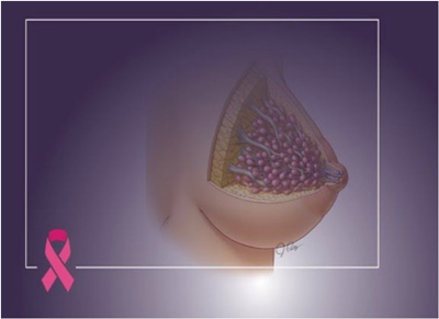 marissa n rylander phd